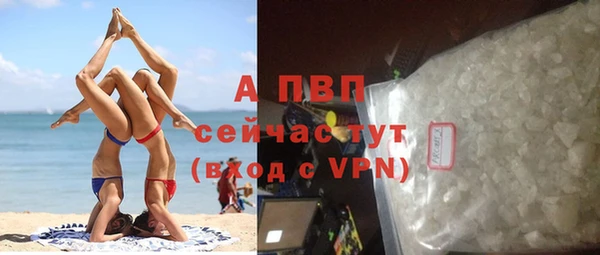 гашик Нея