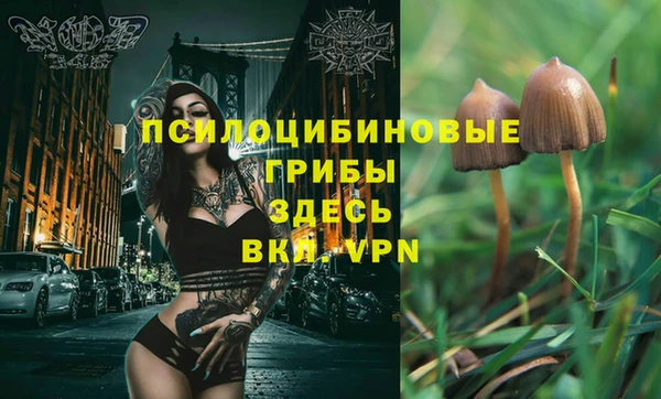 прущий лед Наволоки