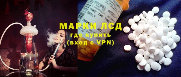гашик Нея
