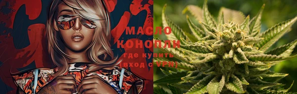 гашик Нея