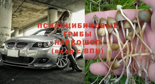 гашик Нея